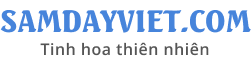 samdayviet.com.vn
